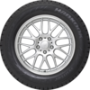 Winter i Pike W409 Studded