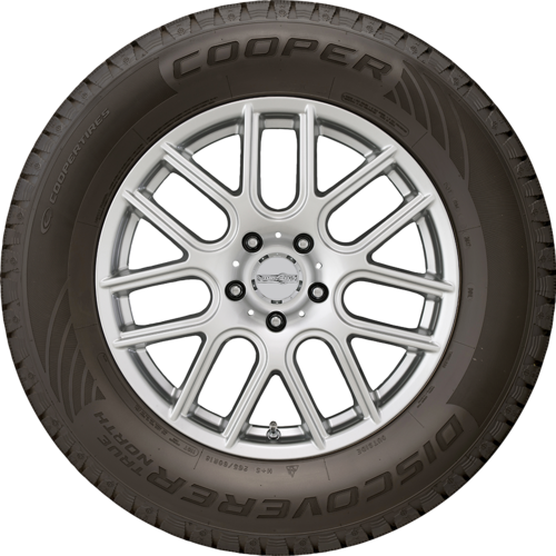 Cooper Discoverer True North 245 /55 R19 103T SL BSW | Discount Tire